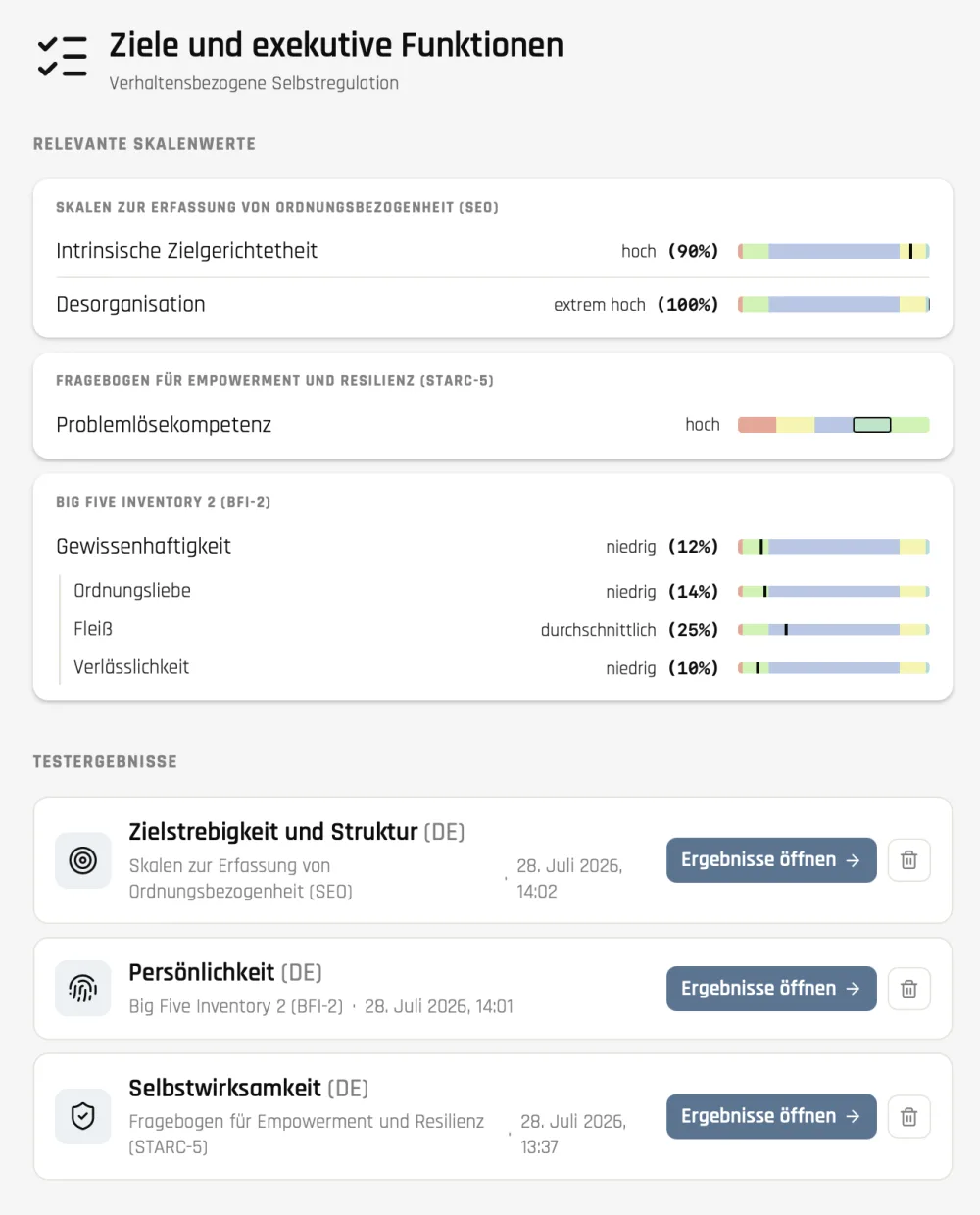 Vollständige Ergebnisansicht zu Zielen und exekutiven Funktionen mit relevanten Skalenwerten und Testergebnissen